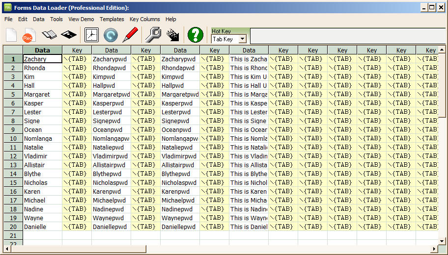 Data Loader