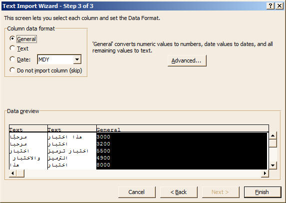 Import data into Excel wizard step 3