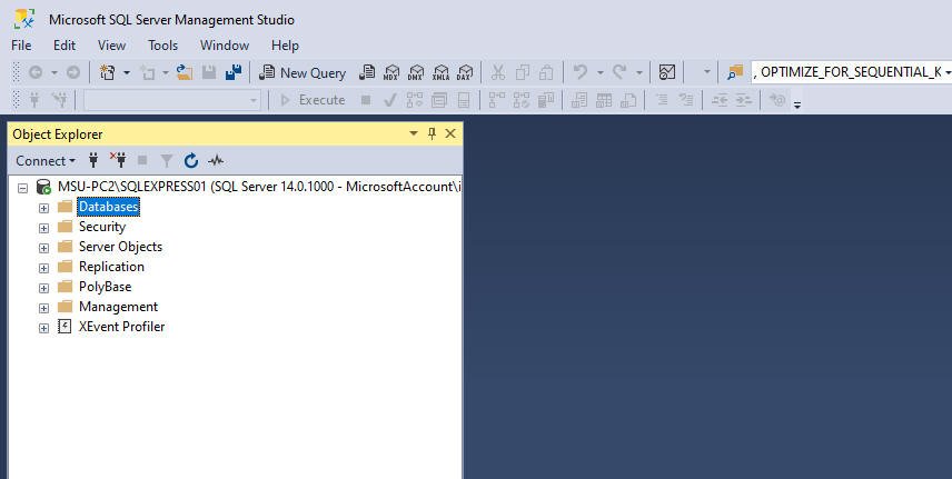 SSMS window