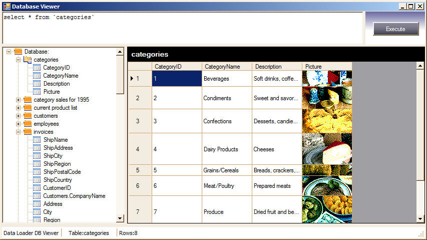Data Loader browse database